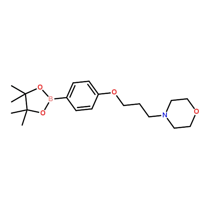 RHAWN 4-(3-(4-(4,4,5,5-tetramethyl-1,3,2-dioxaborolan-2-yl)phenoxy)propyl)morpholine
