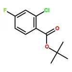 RHAWN tert-Butyl 2-chloro-4-fluorobenzoate