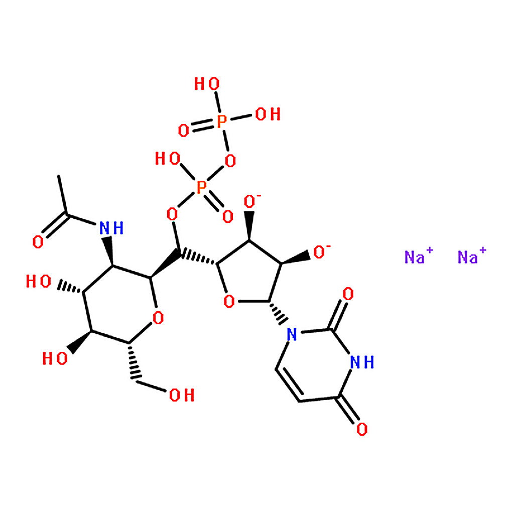 RHAWN Uridine 5’-Diphospho-N-acetylglucosamine Disodium Salt