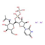 RHAWN Uridine 5’-Diphospho-N-acetylglucosamine Disodium Salt