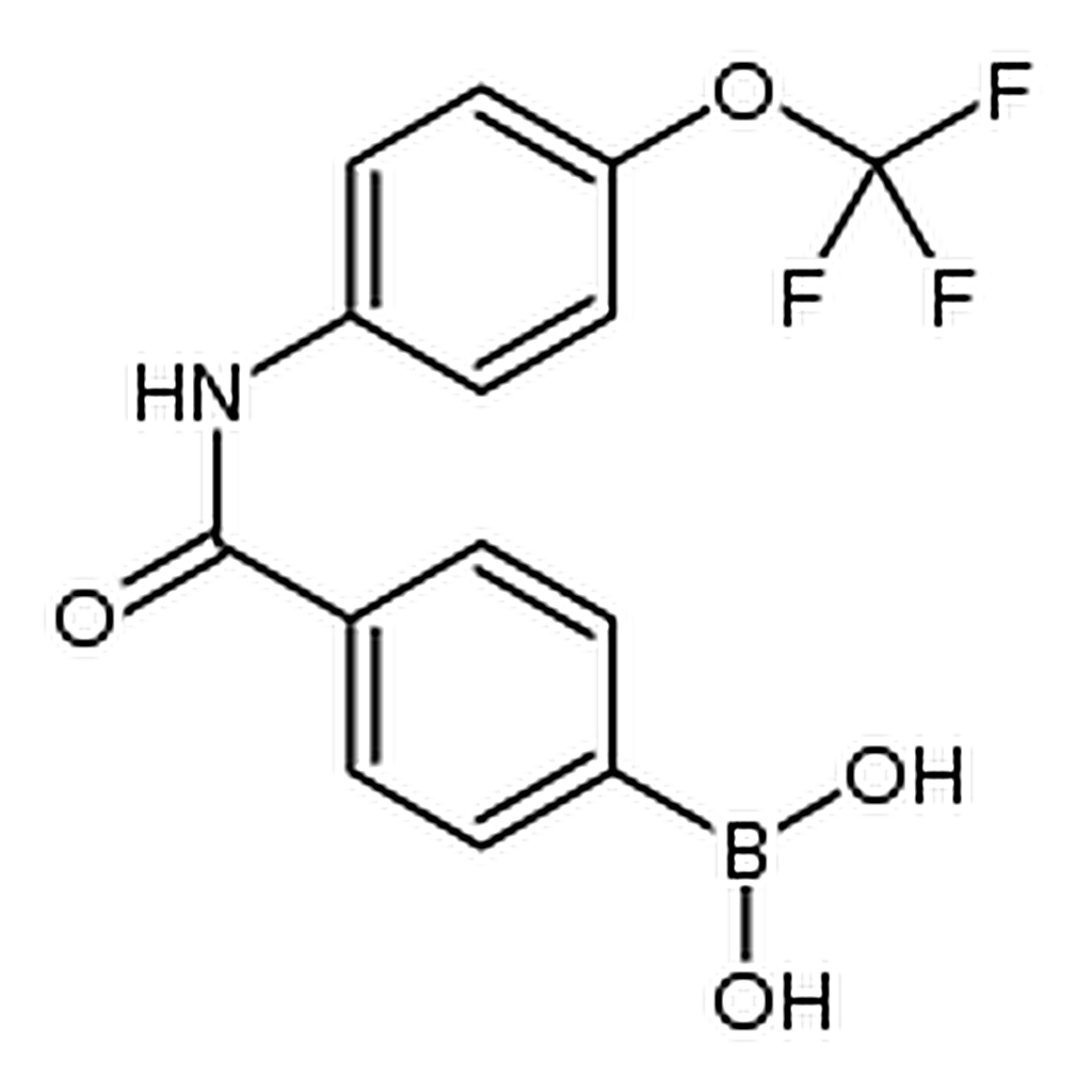 RHAWN (4-((4-(Trifluoromethoxy)phenyl)carbamoyl)phenyl)boronic acid