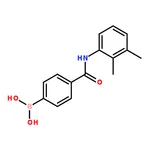RHAWN 4-(2,3-Dimethylphenylcarbamoyl)phenylboronic acid