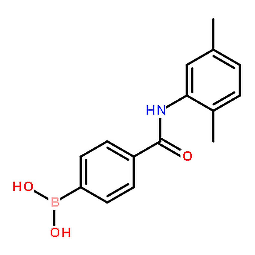 RHAWN [4-[(2，5-dimethylphenyl)carbamoyl]phenyl]boronic acid