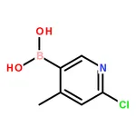 RHAWN 2-Chloro-4-methylpyridine-5-boronic acid