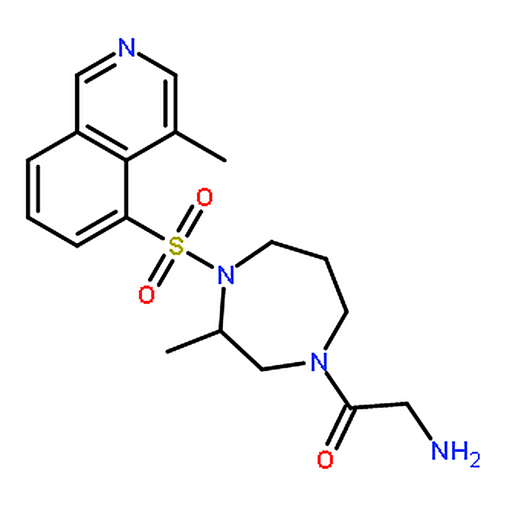 RHAWN (S)-Glycyl-H-1152 hydrochloride (Rho Kinase Inhibitor IV)