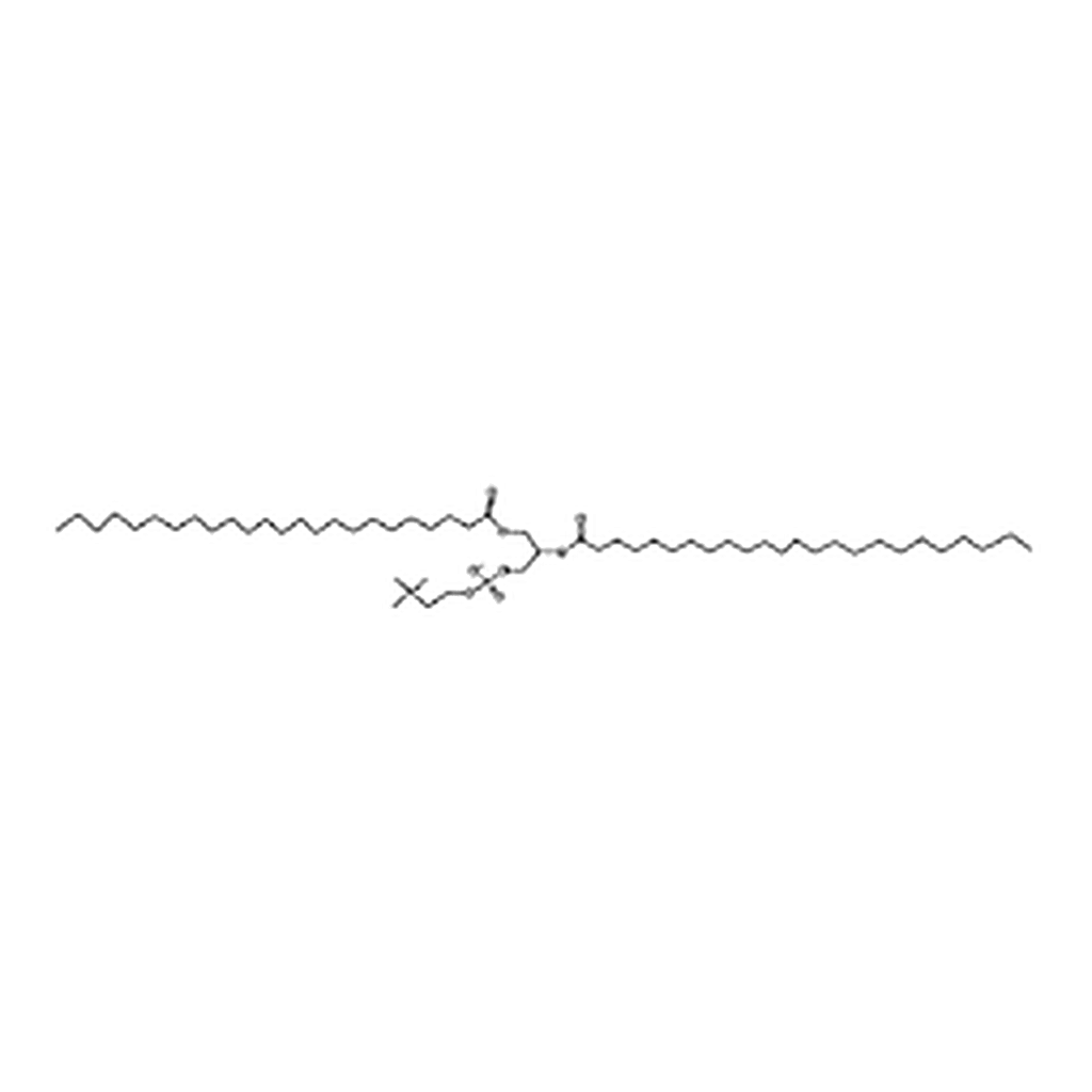 RHAWN 1,2-dilignoceroyl-sn-glycero-3-phosphocholine
