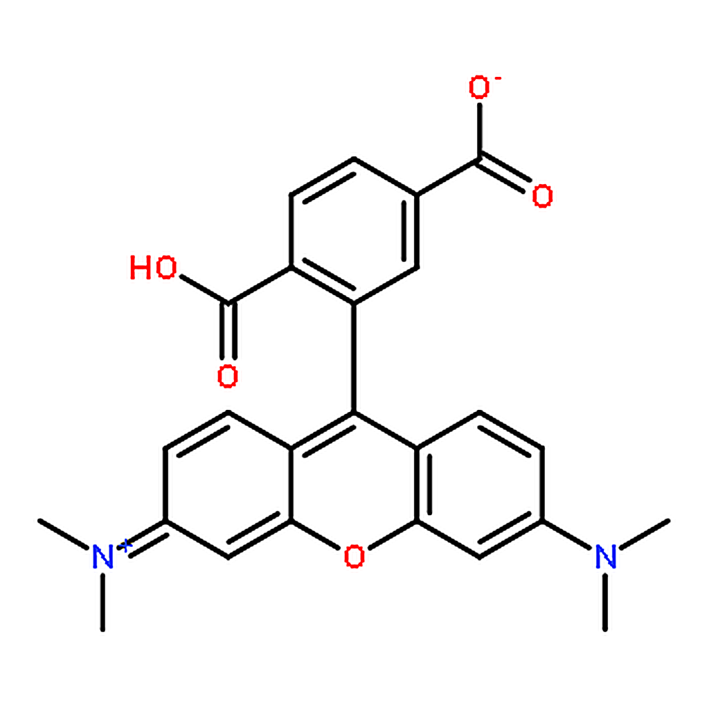 RHAWN 6-Carboxytetramethylrhodamine