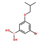 RHAWN (3-Bromo-5-isobutoxyphenyl)boronic acid