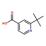 RHAWN 2-(tert-Butyl)isonicotinic acid