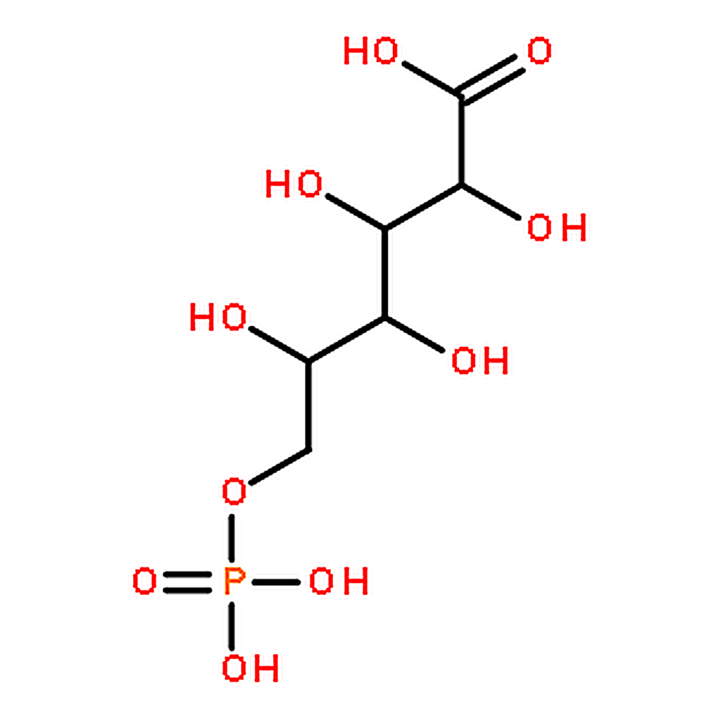 RHAWN 6-Phosphogluconic acid barium salt hydrate