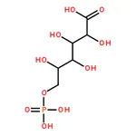 RHAWN 6-Phosphogluconic acid barium salt hydrate
