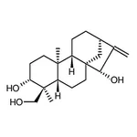 RHAWN ent-16-Kaurene-3beta,15beta,18-triol