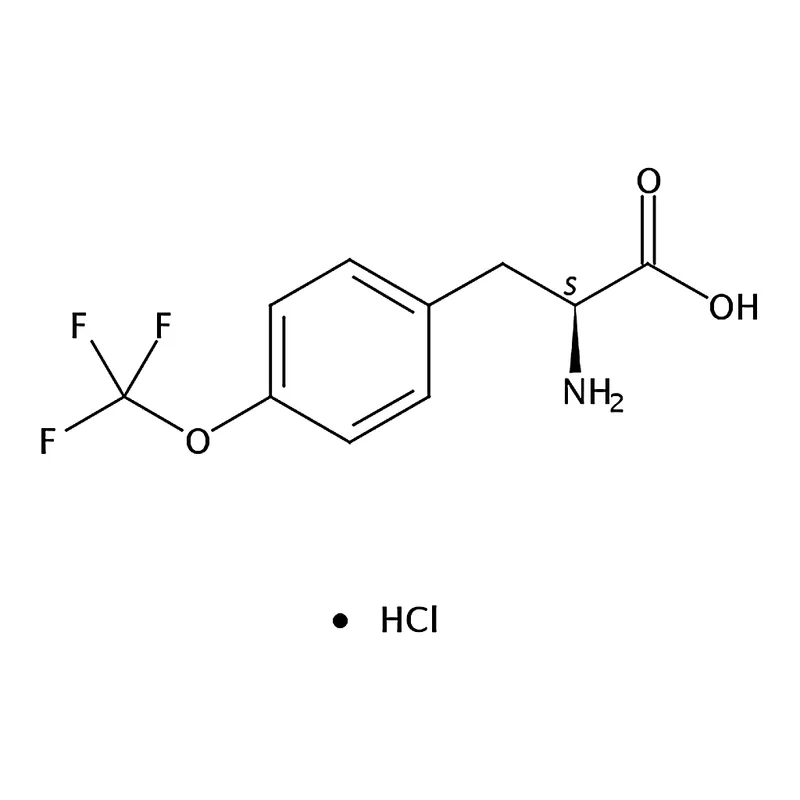 RHAWN (S)-2-Amino-3-(4-(trifluoromethoxy)phenyl)propanoic acid hydrochloride