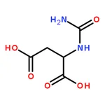 RHAWN N-Carbamoyl-DL-aspartic Acid