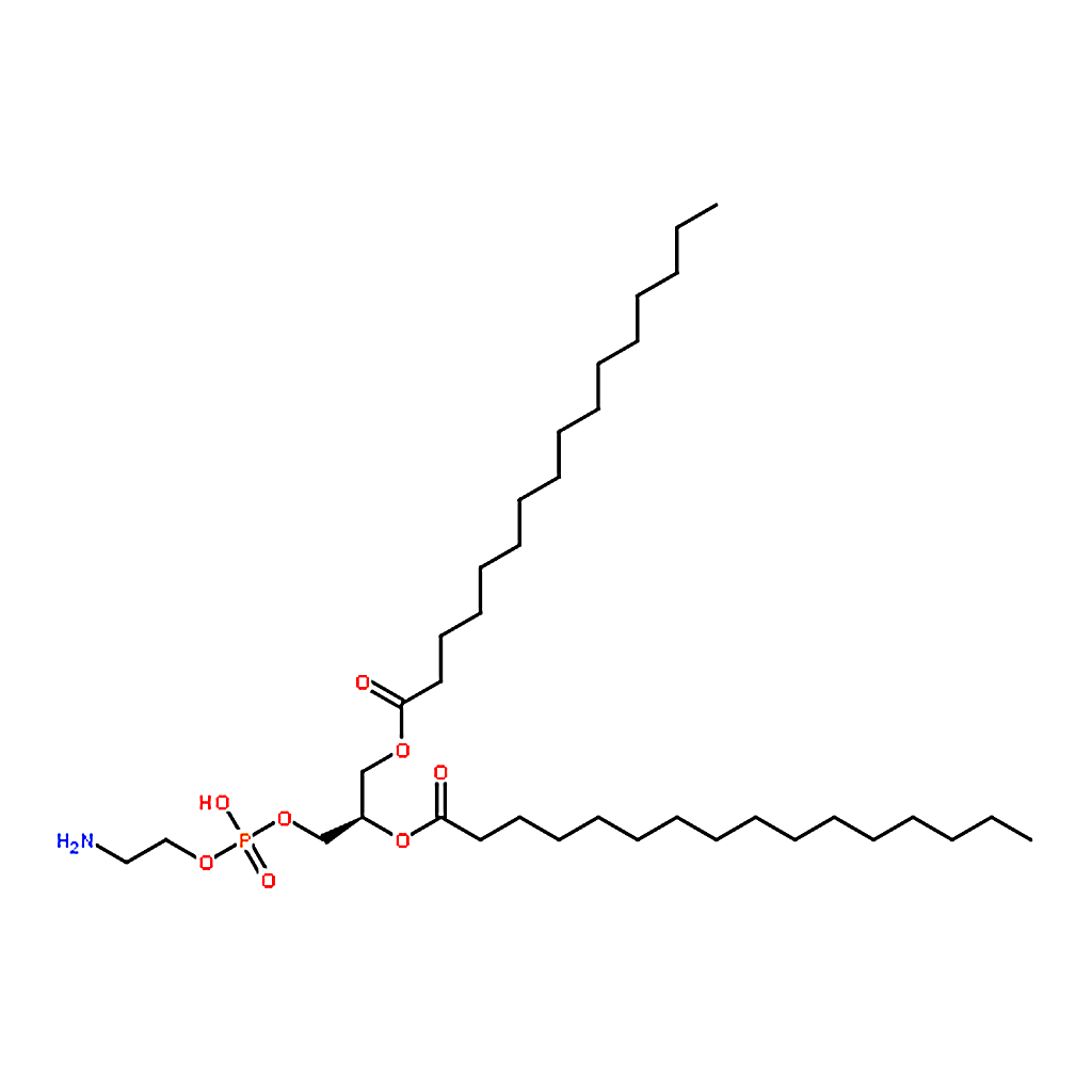 RHAWN 1,2-dipalmitoyl-sn-glycero-3-phosphoethanolamine