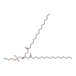 RHAWN 1,2-dipalmitoyl-sn-glycero-3-phosphoethanolamine