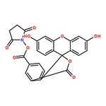 RHAWN 5-Carboxyfluorescein N-succinimidyl ester