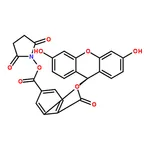 RHAWN 6-Carboxyfluorescein N-hydroxysuccinimide ester