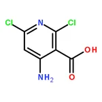 RHAWN 4-Amino-2,6-dichloronicotinic acid