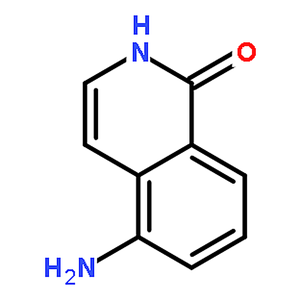RHAWN 5-Aminoisoquinolin-1(2H)-one