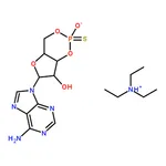 RHAWN monophosphorothioate triethylammonium salt hydrate