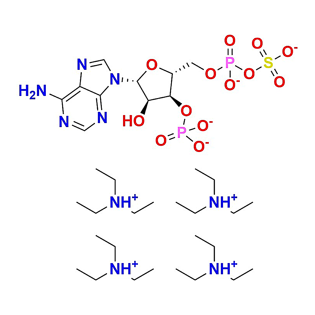 RHAWN 3'-Phosphoadenosine 5'-phosphosulfate triethylammnonium salt