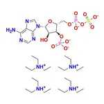 RHAWN 3'-Phosphoadenosine 5'-phosphosulfate triethylammnonium salt