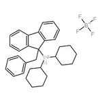 RHAWN Dicyclohexyl(9-benzylfluoren-9-yl)phosphonium tetrafluoroborate