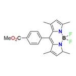RHAWN BODIPY Fluorescence Probe