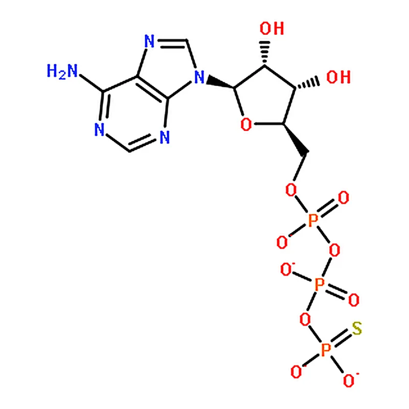 RHAWN Adenosine 5'-(┚-thio)-triphosphate (lithium salt) (ATP┚S)