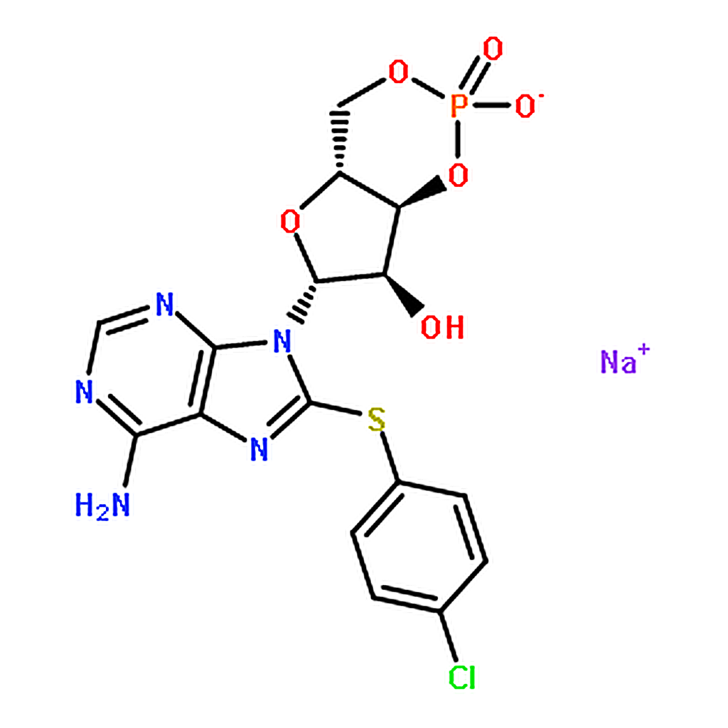RHAWN 8-CPT-Cyclic AMP sodium salt