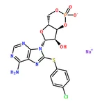 RHAWN 8-CPT-Cyclic AMP sodium salt
