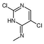 RHAWN 2,5-Dichloro-N-methylpyrimidin-4-amine