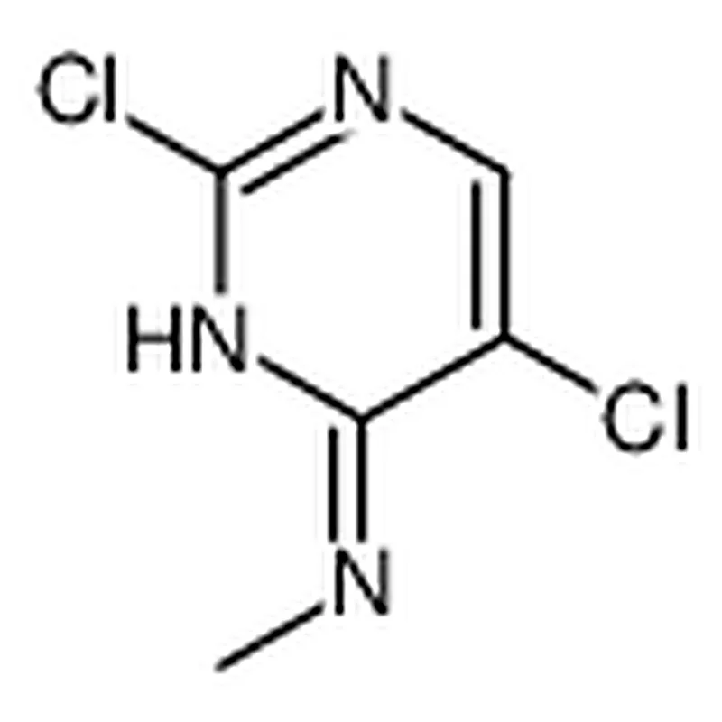 RHAWN 2,5-Dichloro-N-methylpyrimidin-4-amine