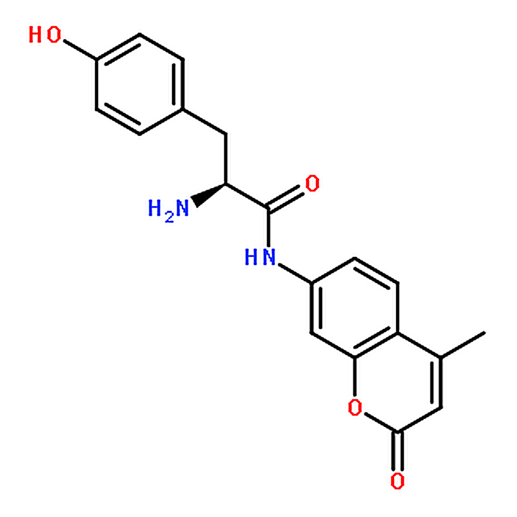RHAWN L-Tyrosine 7-amido-4-methylcoumarin