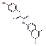 RHAWN L-Tyrosine 7-amido-4-methylcoumarin