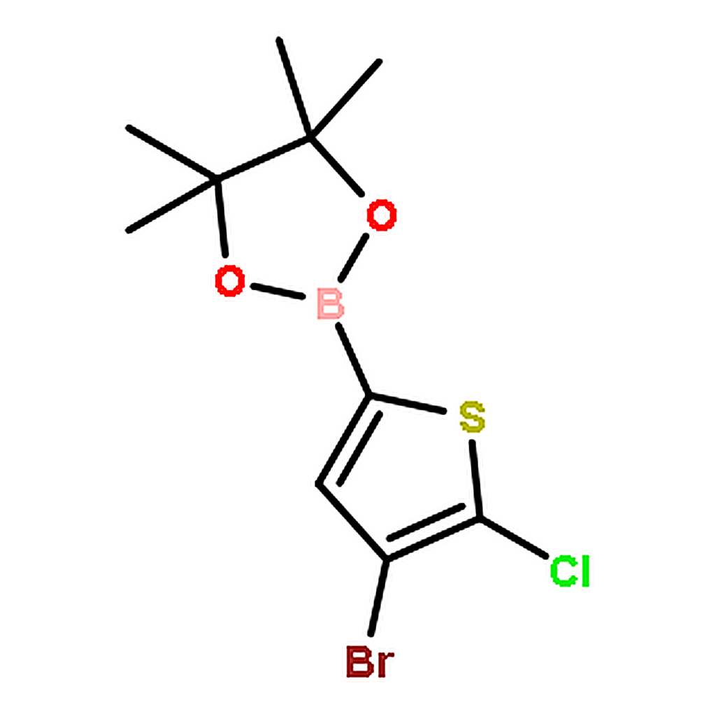 RHAWN 2-(4-Bromo-5-chlorothiophen-2-yl)-4,4,5,5-tetramethyl-1,3,2-dioxaborolane