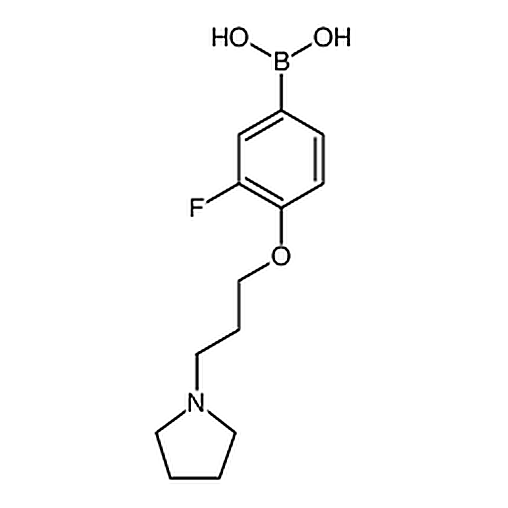RHAWN 3-Fluoro-4-(3-(pyrrolidin-1-yl)propoxy)phenylboronic acid