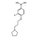 RHAWN 3-Fluoro-4-(3-(pyrrolidin-1-yl)propoxy)phenylboronic acid