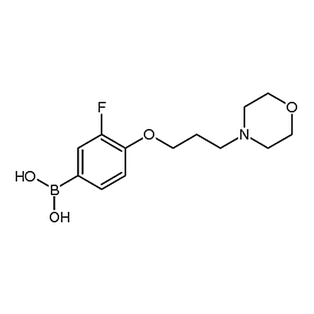 RHAWN (3-fluoro-4-(3-morpholinopropoxy)phenyl)boronic acid