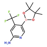 RHAWN 2-Amino-4-(trifluoromethyl)pyridine-5-boronic acid pinacol ester