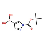 RHAWN 1-tert-Butoxycarbonyl-1H-pyrazole-4-boronic acid