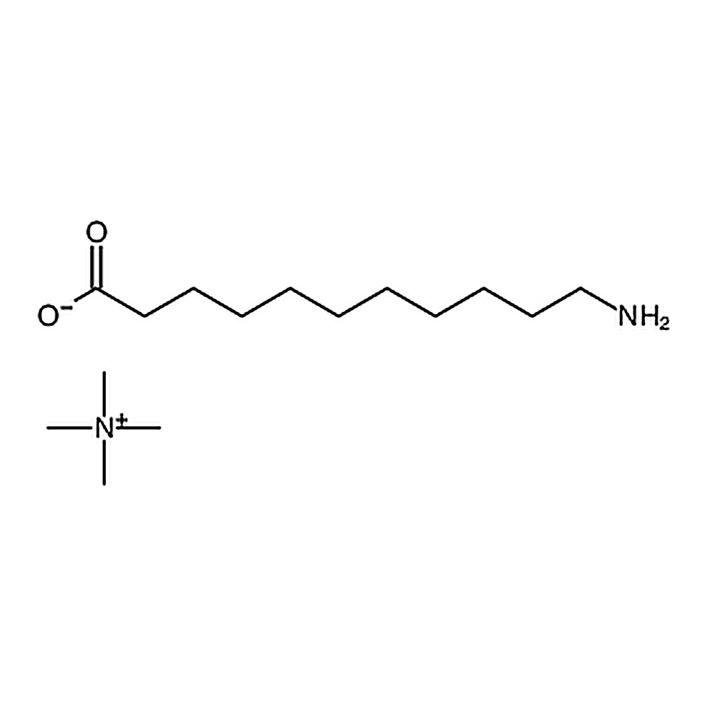 RHAWN 11-Aminoundecanoic acid tetramethylammonium salt