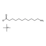 RHAWN 11-Aminoundecanoic acid tetramethylammonium salt