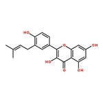 RHAWN Isolicoflavonol
