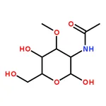 RHAWN 3-O-methyl-N-acetyl-D-Glucosamine (3-O-methyl-GlcNAc)