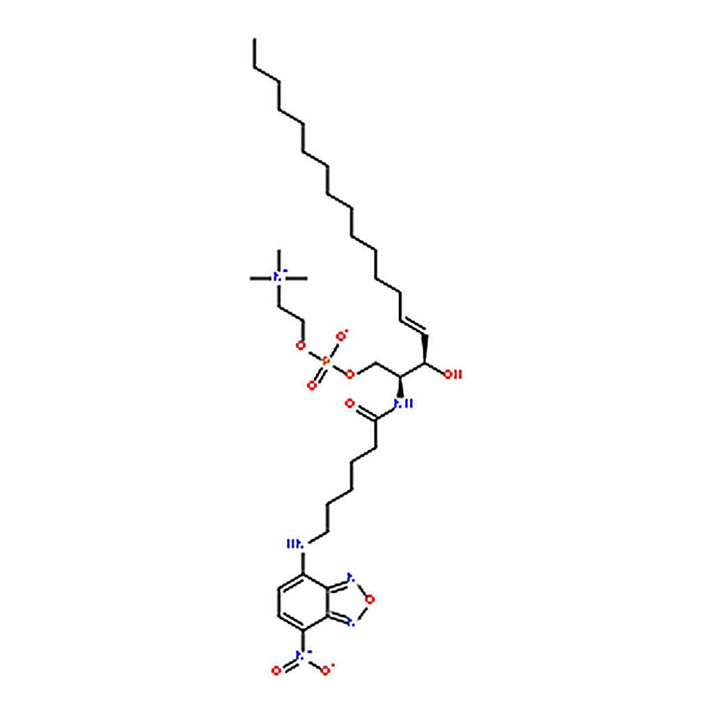 RHAWN N-[6-[(7-nitro-2-1,3-benzoxadiazol-4-yl)amino]hexanoyl]-sphingosine-1-phosphocholine