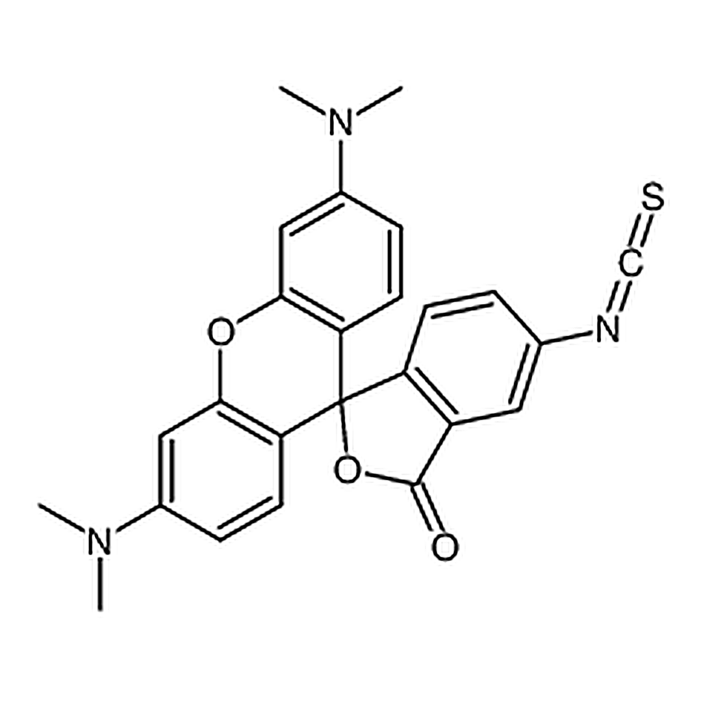 RHAWN 5(6)-Tetramethylrhodamine isothiocyanate