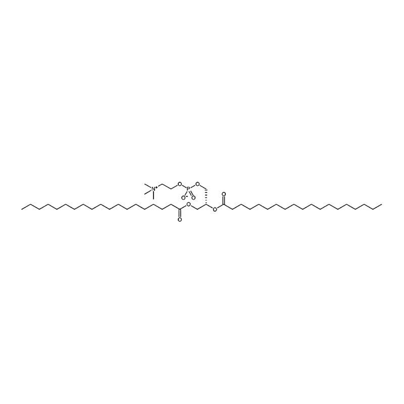RHAWN 1,2-dinonadecanoyl-sn-glycero-3-phosphocholine