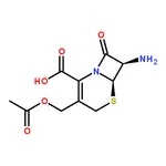 RHAWN 7-Aminocephalosporanic acid